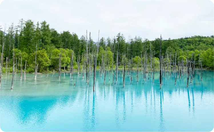 北海道